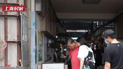 花鸟市场爆料案例视频,视频揭露惊人内幕，揭秘市场乱象