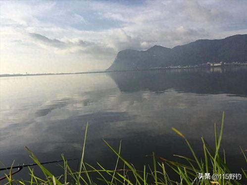 郴州头条钓鱼网,郴州头条钓鱼网带你畅游鱼塘