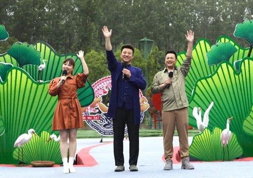 海哥最新爆料视频大全下载,揭秘娱乐圈幕后真相