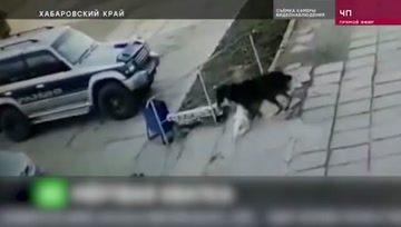 俄语大世界头条号注册,探索俄罗斯文化的无限魅力