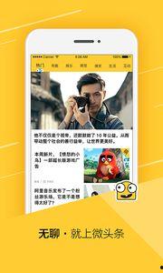 铲屎官555的微头条,揭秘宠物日常生活中的喜怒哀乐