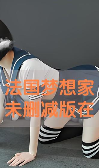 梦想家法国版在线观看,在线观看，探索异国梦想之旅