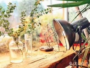 三圣乡网红店文案,探寻成都美食新地标，打卡必去的人气美食天堂