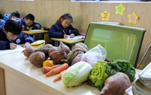 老师送吊瓜给学生合适吗,寓意美好，传递关爱与智慧