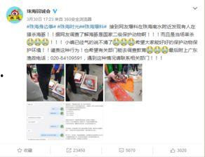 珠海爆料视频,揭秘城市背后的故事